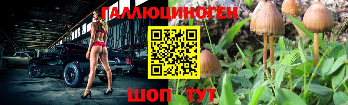 Луховицы  Галлюциногенные грибы MAGIC MUSHROOMS  Вход с VPN 